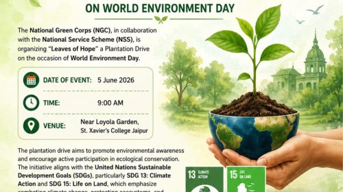 Plantation Drive Poster