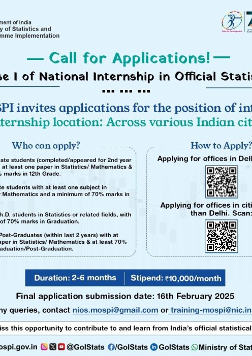 Poster National Internship in Official Statistics 2025